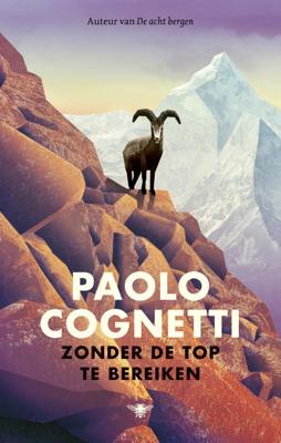 Zonder de top te bereiken (Paperback)