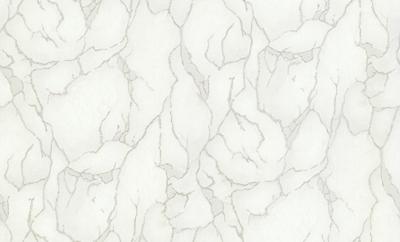 Dutch Wallcoverings Yudashkin 5 10X1,06M - Beige/Zilver