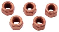 Dresselhaus Thermag slotted nuts 6-point / m8x12/ 5 pcs.