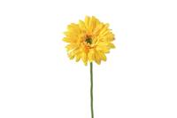 Decostar zijdebloem Gerbera Leanne 60 cm geel