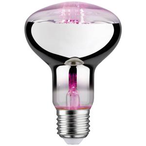 Paulmann LED-plantenlamp groei PAULMANN 230 V E27 6.5 W Barnsteen 1 stuk(s)