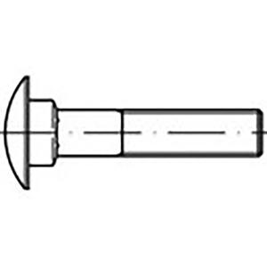 TOOLCRAFT TO-6855759 Platbolkopschroeven M10 40 mm DIN 603 Staal Thermisch verzinkt 100 stuk(s)