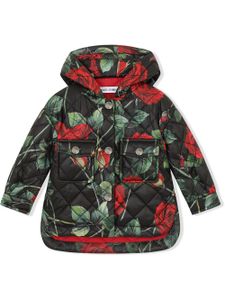 Dolce & Gabbana Kids parka matelassée à fleurs - Noir