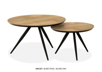 Hayley Salontafelset