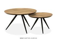 Hayley Salontafelset