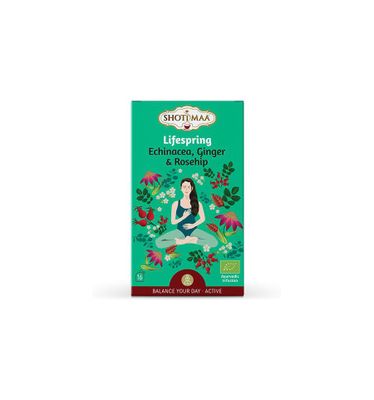 Lifespring echinacea, ginger & rosehip bio