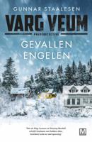 Gevallen engelen (Paperback)