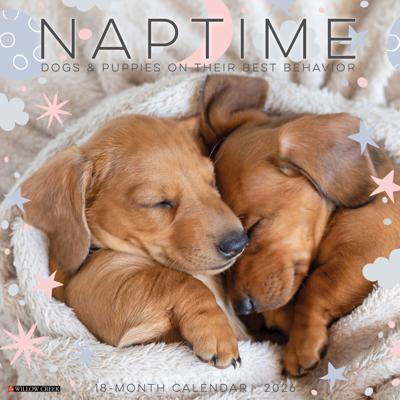 Dog Naps Kalender 2026