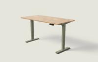 Desktronic HomePro bureau - Olijfgroen / Massief Eiken / 160x80 cm
