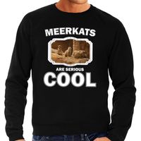 Dieren stokstaartje sweater zwart heren - meerkats are cool trui