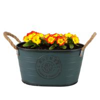 Plantenpot/bloempot teil voor buiten - zink - petrolblauw - L29 x D18 x H15 cm