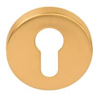 Formani LBY50D BASICS cilinderplaatje pvd mat goud