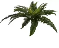 Pure Royal kunstplant varen 59cm groen