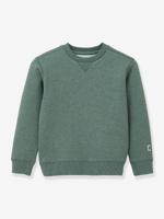 CYRILLUS sweater voor jongens amandelgroen