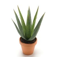 Kantoor kunstplant aloe vera groen in terracotta pot 23 cm - thumbnail