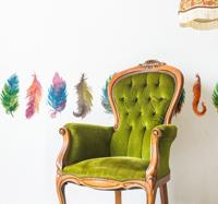 Sierrand gekleurde vogel veren