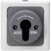 Kopp 561756017 BlueElectric Compleet Sleutelschakelaar spatwaterdicht Grijs 1 stuks 1 stuk(s)