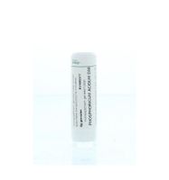 Phosphoricum acidum D30 - thumbnail