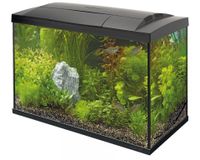 Superfish Start 70 Tropical Kit Zwart - 60L Compleet Aquarium met LED & Filter