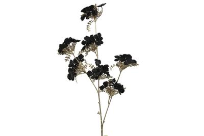 Hydrangea S zwart - Countryfield