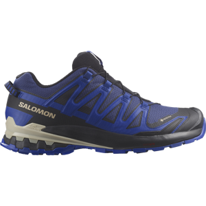 Salomon Xa Pro 3D V9 GTX Trailrunningschoen