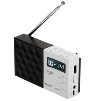 Radio Adler pll fm ad 1908 Zwart Wit