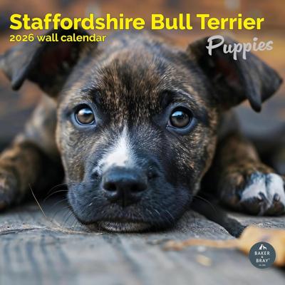 Staffordshire Bull Terrier Puppies Kalender 2026