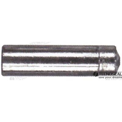 Ánodos para Lombardini TEN02353 - ANODO LOMBARDINI ZINC TEN02353T