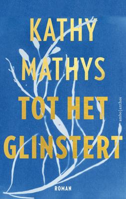Tot het glinstert (Paperback)