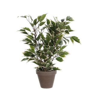 Groen/witte ficus kunstplant 40 cm voor binnen