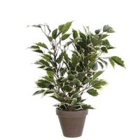 Groen/witte ficus kunstplant 40 cm voor binnen   -