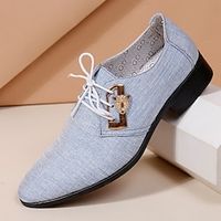 Voor heren Oxfords Retro Formele Schoenen Wandelen Casual Dagelijks Leer Comfortabel Veters Licht Blauw Zwart Blauw Lente Herfst Lightinthebox