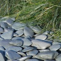 Flat Pebbles groen Big Bag - 1500 kg - 1m3 Flat Pebbles groen Big Bag - 1500 kg - 1m3