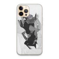 House: iPhone 13 Pro Max Transparant Hoesje