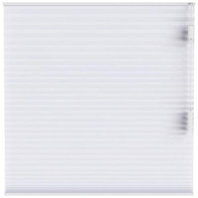Leen Bakker - Fenstr Plisségordijn Toronto Dubbel 25mm Lichtdoorlatend - Sneeuw (10012) - Polyester - Wit - 120x10x10 Cm