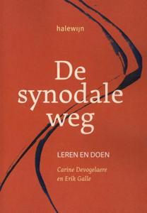 De synodale weg (Paperback)
