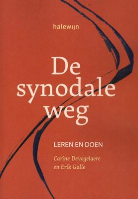 De synodale weg (Paperback)