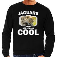 Dieren luipaard sweater zwart heren - jaguars are cool trui - thumbnail