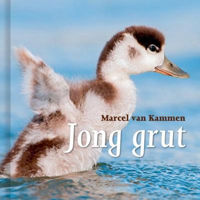 Jong grut (Hardback)