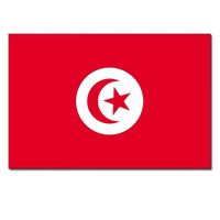 Vlag Tunesie 90 x 150 cm feestartikelen Vlag Tunesie 90 x 150 cm feestartikelen