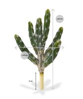 Tetragonus kunst Cactus 35cm - groen