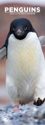 Pinguins Slimline Kalender 2026 Pinguins Slimline Kalender 2026