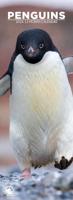 Pinguins Slimline Kalender 2026