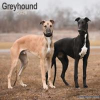 Greyhound Kalender 2026