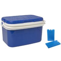 Koelbox donkerblauw 16 liter 42 x 29 x 26 cm incl. 2 koelelementen