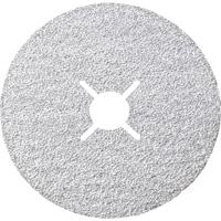Rhodius 304619 Fiberschijf Diameter 125 mm Boordiameter 22.23 mm Non-ferrometaal 1 stuk(s)