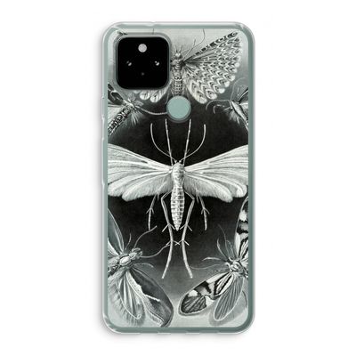 Haeckel Tineida: Google Pixel 5 Transparant Hoesje