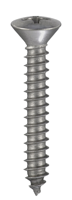 Connex Plaatschroef Bvk 3.5X19 22St Rvs-A4 - DY4833519