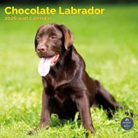 Labrador Retriever Bruin Kalender 2026