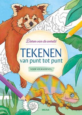 Tekenen van punt tot punt voor volwassenen (Paperback)